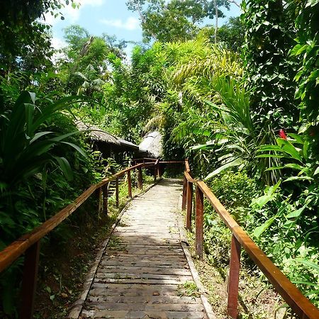 Wasai Puerto Maldonado Hostel المظهر الخارجي الصورة